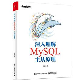 《深入理解MySQL主从原理》高鹏 pdf电子书[93MB]