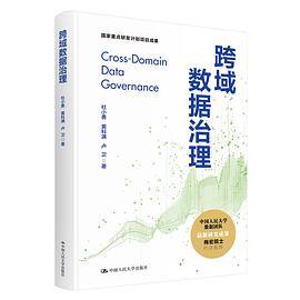 《跨域数据治理》杜小勇 pdf电子书[29MB]