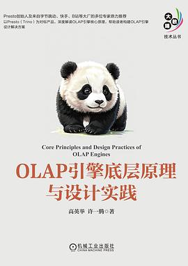 《OLAP引擎底层原理与设计实践》高英举 pdf电子书[86MB]