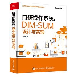 自研操作系统：DIM-SUM设计与实现 pdf电子书[206MB]