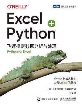 Excel + Python：飞速搞定数据分析与处理 pdf电子书[84MB]